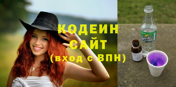 соль ск Бородино