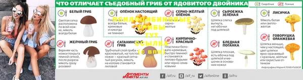 амф Богородск