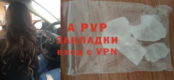 ешки Богданович