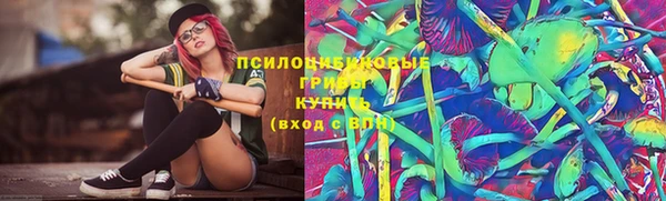ешки Богданович