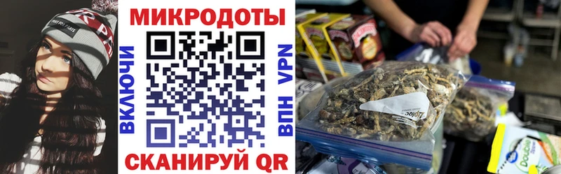 Галлюциногенные грибы мухоморы  Купить где  Луга 